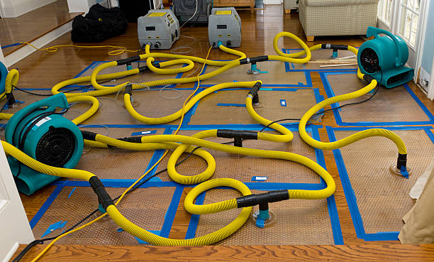 Professional Structural Drying And Dehumidification technician working in Verplanck, NY